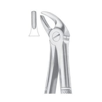 Fig. 4 Upper Incisors & Canines